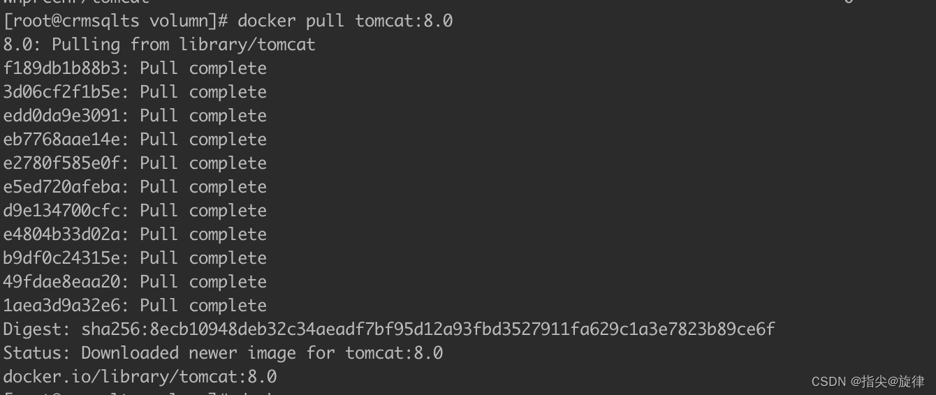 七、Docker 安装Tomcat（流程、注意点、实操）