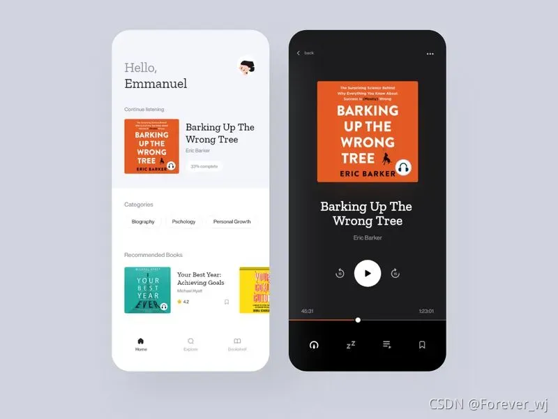 Audiobook Mobile Application by Emmanuel Ikechukwu