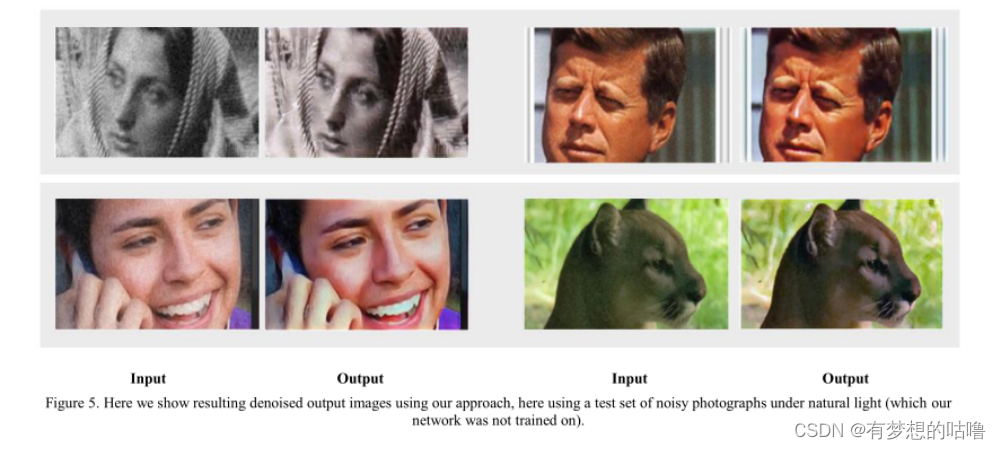 Image Denoising Using A Generative Adversarial Network-基于生成对抗网络的图像去噪-CSDN博客
