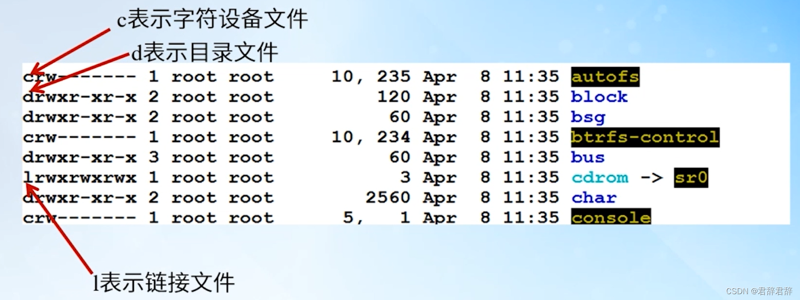 /dev目录下文件的详细信息