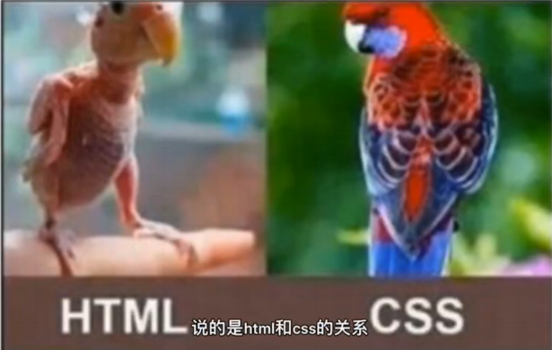 CSS详解-CSDN博客