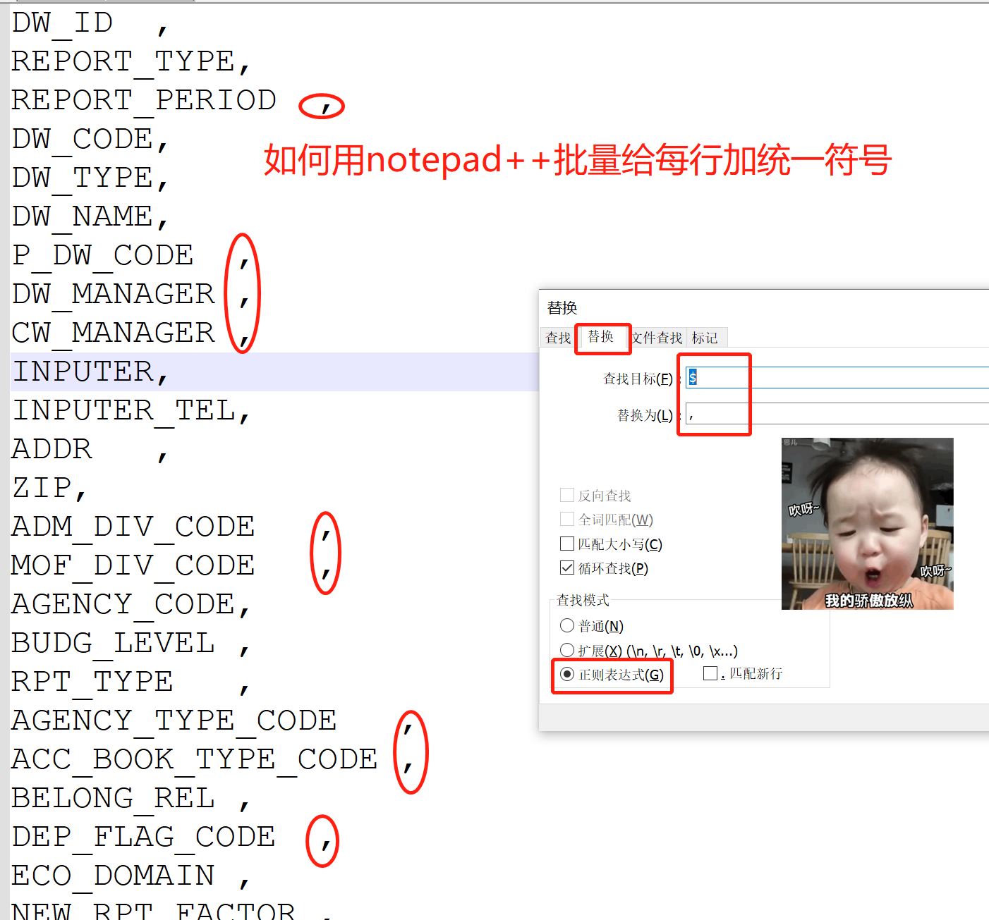 How to use notepad++ to add unified characters to the beginning or end ...