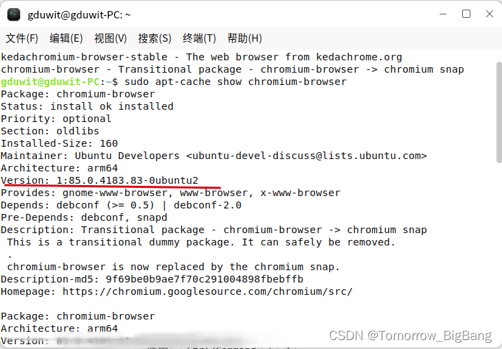 linux-arm64-chrome-arm64-tomorrow-bigbang-csdn