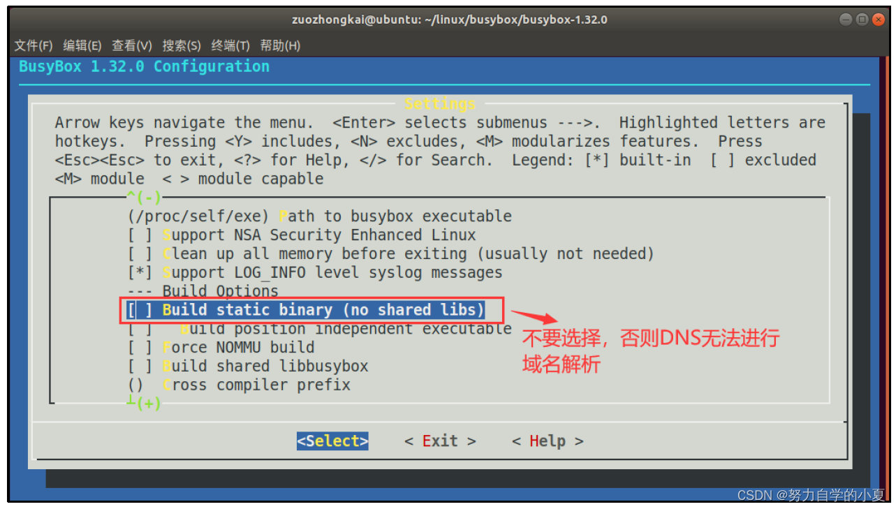 不选择“Build static binary(no shared libs)”