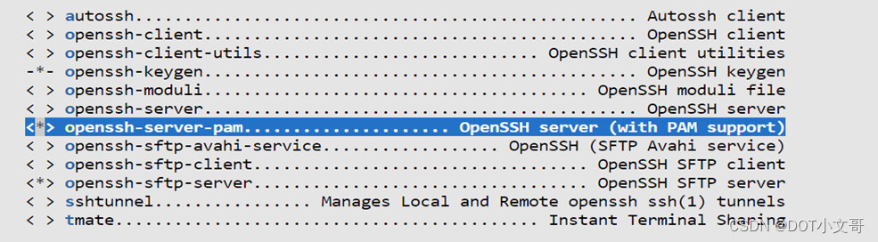 在全志V851S开发板上使用SSH配置步骤分析