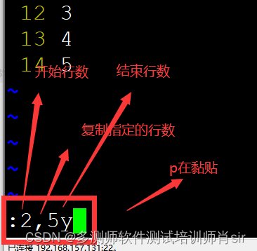 加粗样式