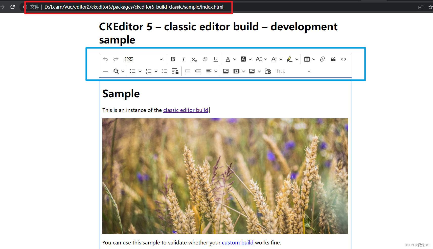 【Vue3】vue3使用CXEditor编辑器&Uncaught CKEditorError: Ckeditor-duplicated ...