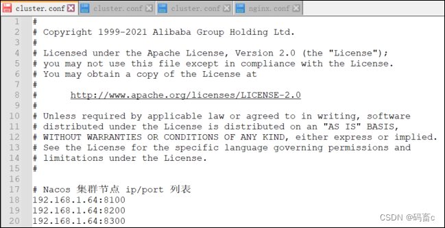 Nacos集群-cluster.conf