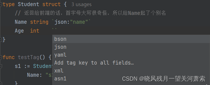 go语言中结构体tag使用