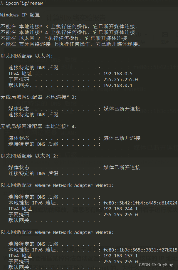 ipconfig/renew命令