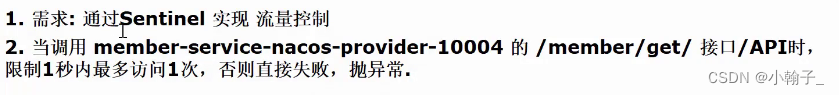 [外链图片转存失败,源站可能有防盗链机制,建议将图片保存下来直接上传(img-Y7X8fMtm-1670145631545)(E:\Java资料\韩顺平Java\资料\SpringCloud\笔记\10.SpringCloud Alibaba Sentinel.assets\image-20221124092832470.png)]