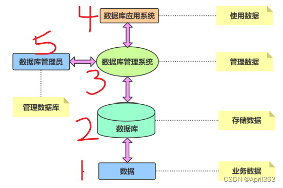 数据库基础知识（一）数据库管理员分类 Csdn博客 