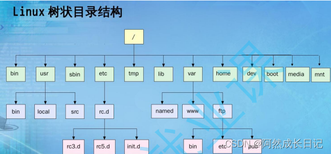 【数据结构】树的基础知识及三种存储结构