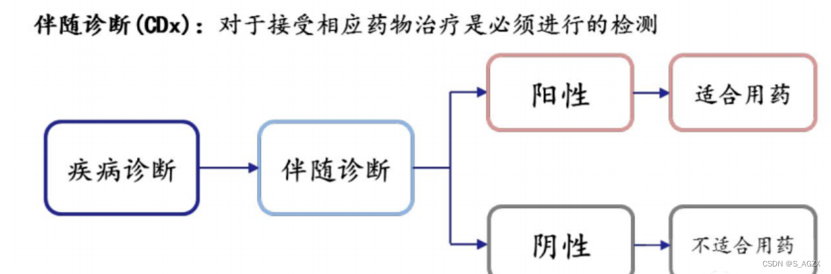 何为伴随诊断