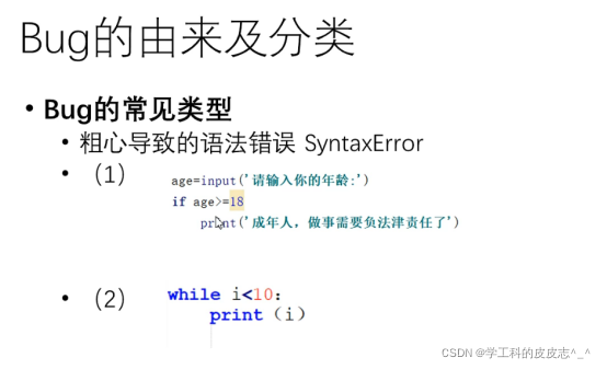 Python学习篇(十二) Python中的常见的BUG及异常处理_python 的bug和进行静态的代码分析-CSDN博客