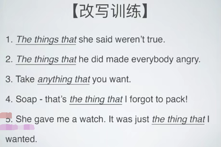 【定语从句练习题】the things that 转化为 what (名词性从句)-CSDN博客
