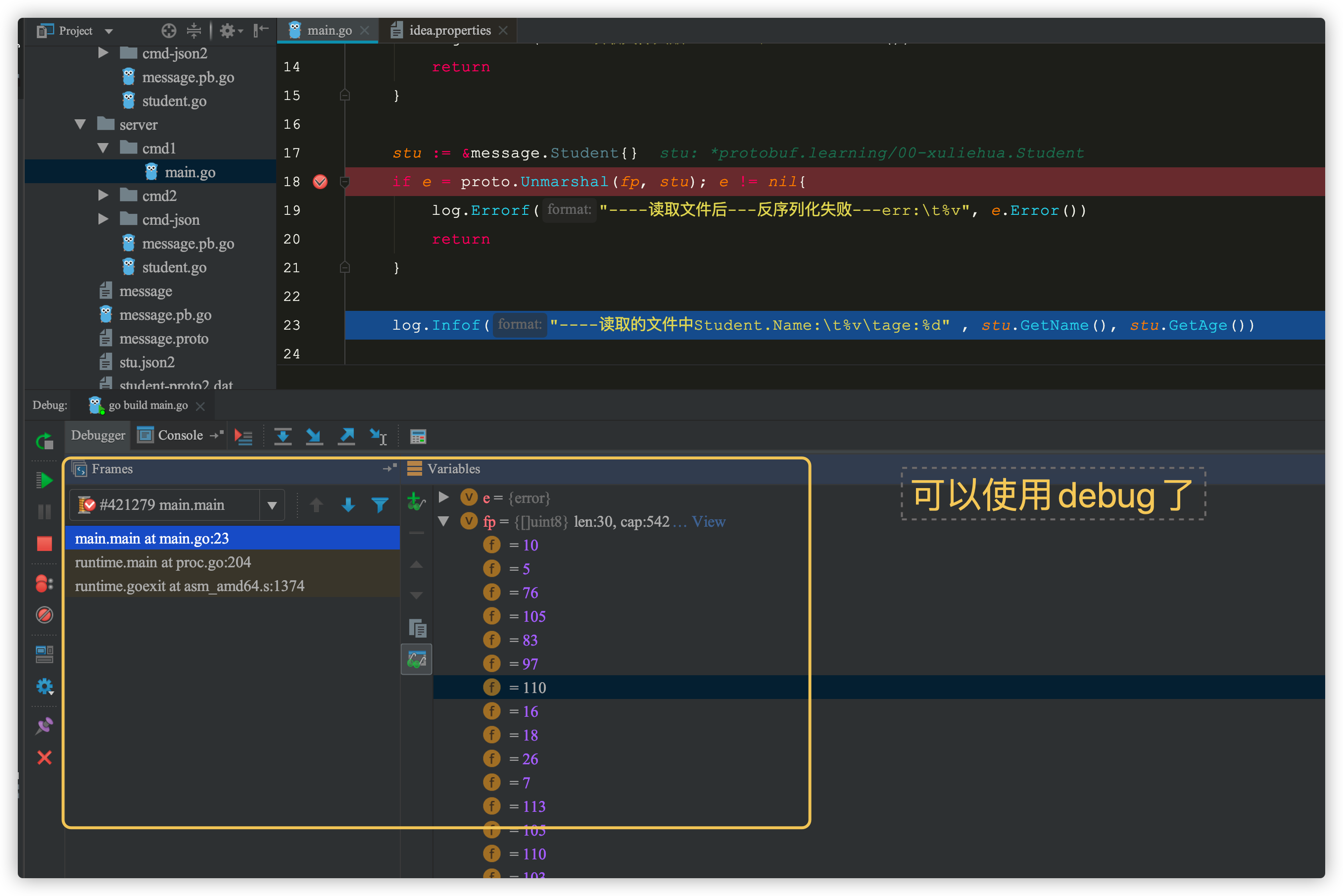 goland 调试 could not launch process: decoding dwarf section info at offset 0x0: too short