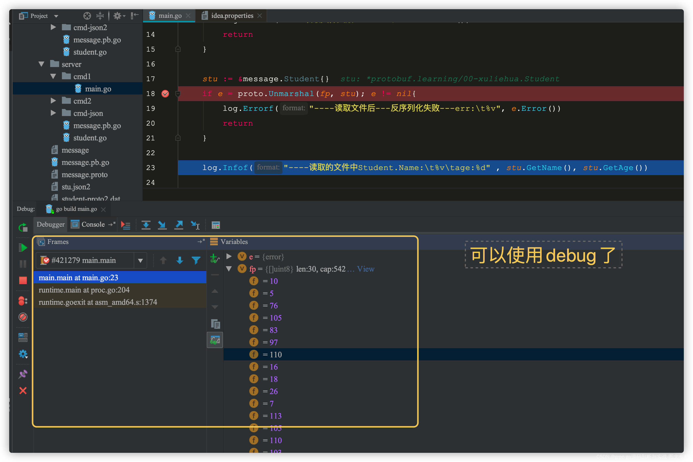 goland 调试 could not launch process: decoding dwarf section info at offset 0x0: too short