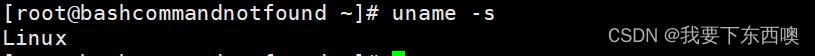 linux uname 打印内核名称