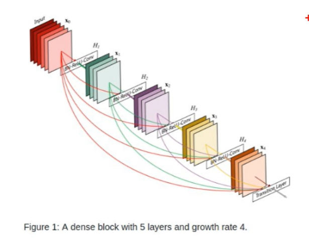 DenseNet魔怔的短接