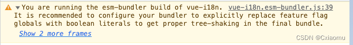 You are running the esm-bundler build of vue-i18n.