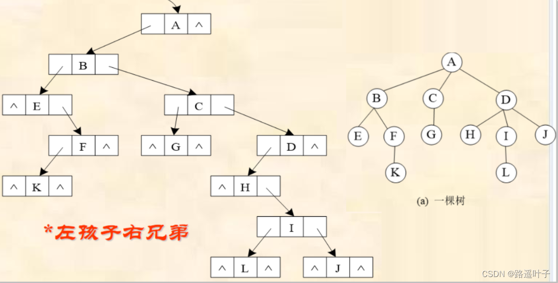 【数据结构】树的定义、树的存储结构