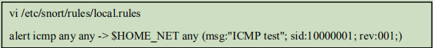snort实现入侵检测功能