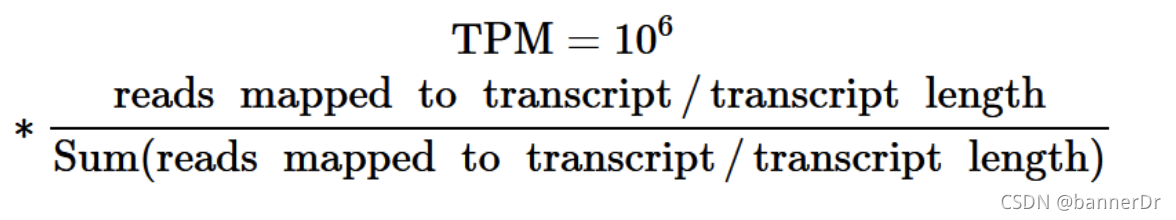 多组学-转录组RNA-seq 中Counts值,RPM,RPKM,FPKM,TPM_counts和fpkm的区别-CSDN博客