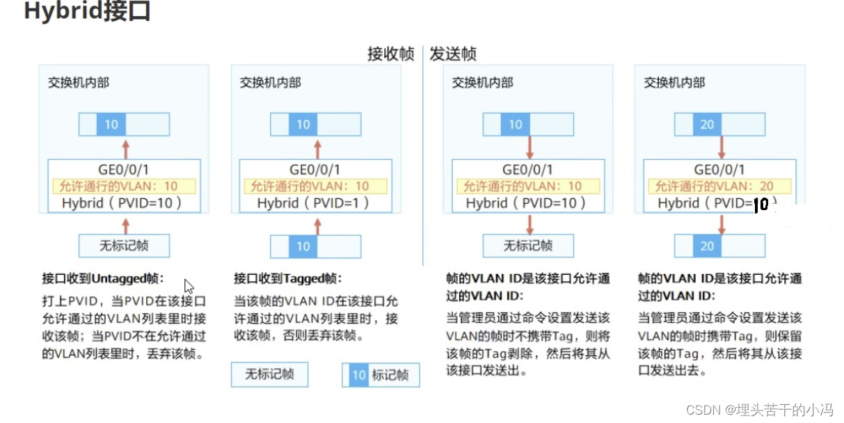 HCIP VLAN--Hybrid接口