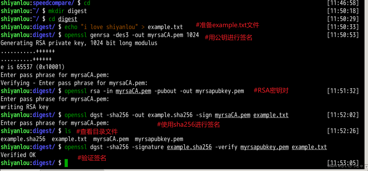公钥加密与PKI实验
