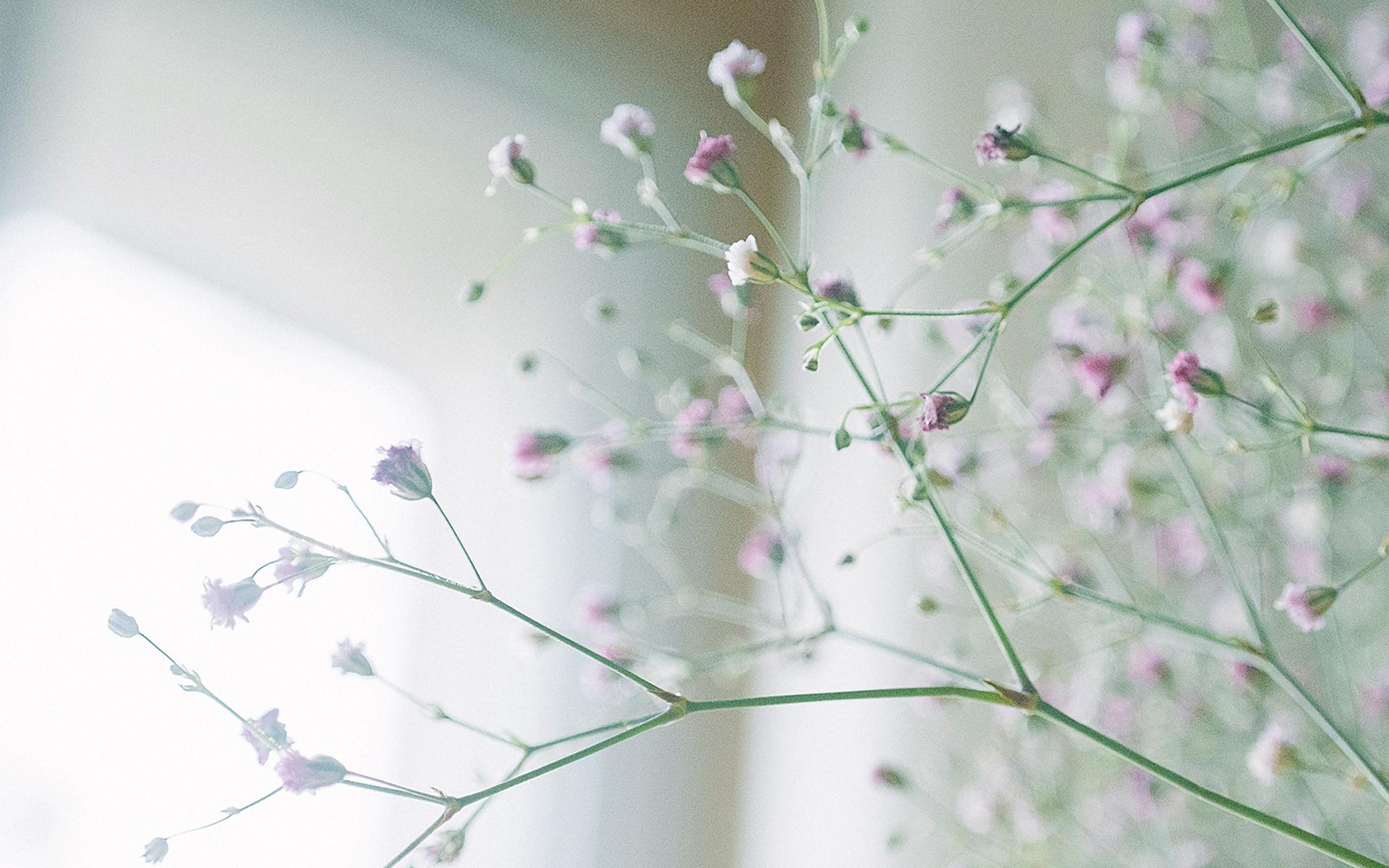 软件行业职位英文简称_fut是什么职位-CSDN博客