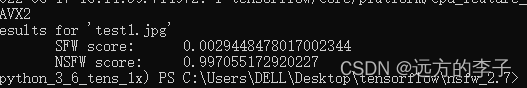 python NSFW Model 图片识别鉴黄 后面更新视频检测