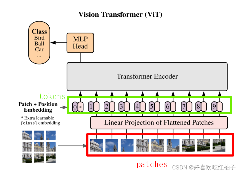 ViT模型中的tokens和patches概念辨析