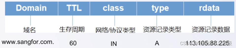 DNS域名解析协议（深信服X计划）