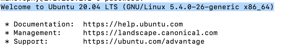 Welcome to Ubuntu 20.04 LTS (GNU/Linux 5.4.0-26-generic x86_64)