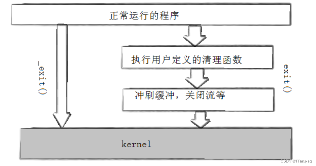 【Linux】进程篇Ⅱ：进程开始、进程终止、进程等待