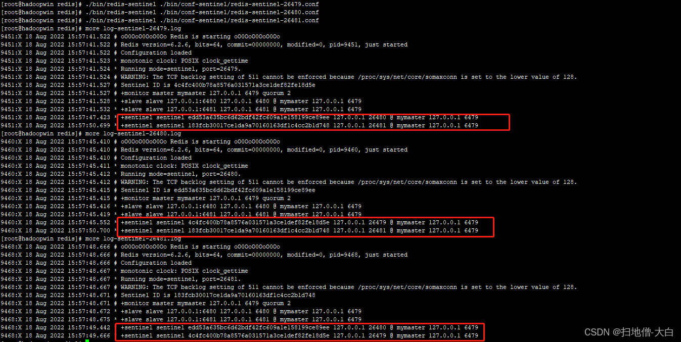 redis sentinel节点