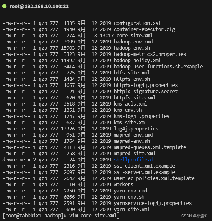 Hadoop环境搭建集群配置篇_hadoop集群配置CSDN博客