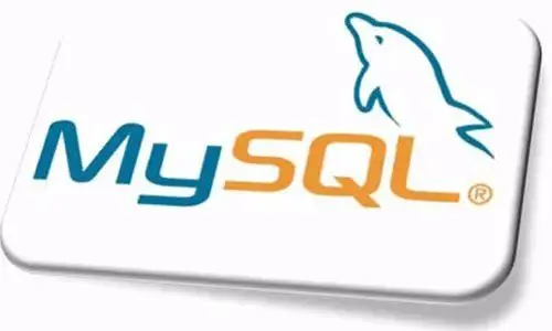 MySQL 储存过程