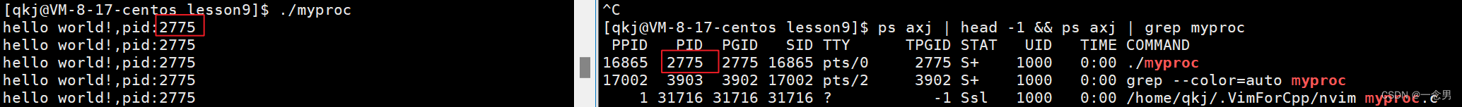 Linux--获取与杀死当前进程PID