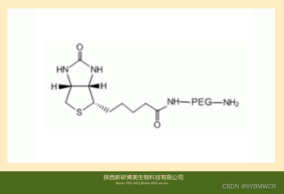 Biotin-PEG-NH2，Biotin-PEG-amine，生物素-PEG-氨基材料改性用化学试剂