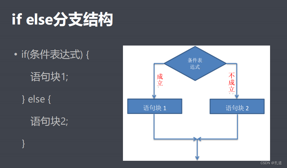 if else分支结构