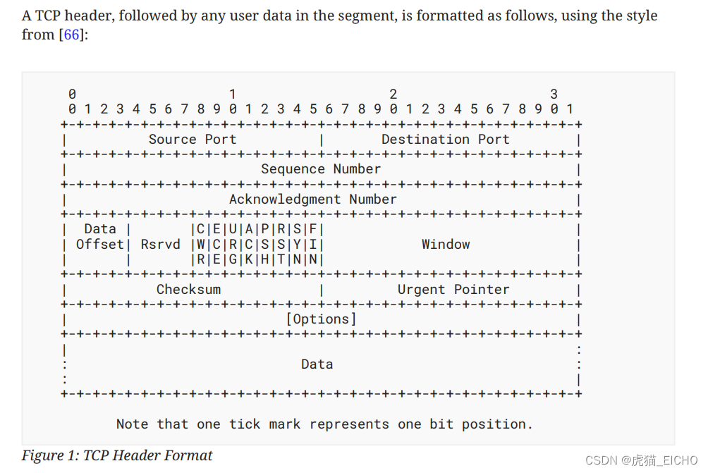 TCP Header