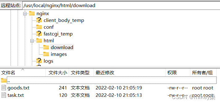 download文件夹