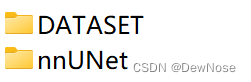 nnUNet中是代码文件，我们把数据都放在DATASET中