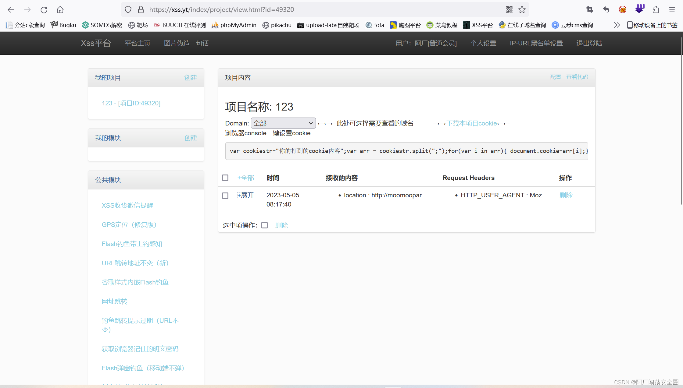 XSS平台打cookie实战_xss打印cookieCSDN博客