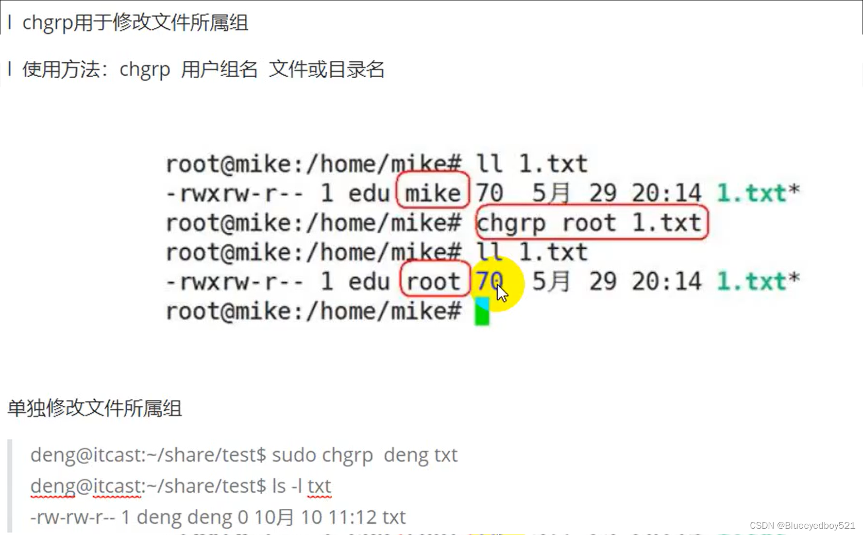 linux入门到精通-第二章-常用命令和工具