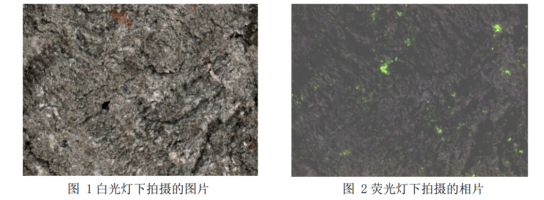 白光灯和荧光灯下拍摄的照片