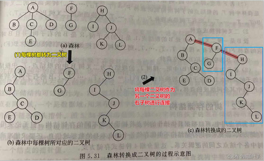 【数据结构】树与森林【树、二叉树、森林间的互转】