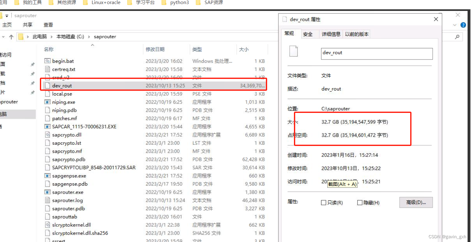 SAP router的问题 dev_out 大文件 ，bat 关闭服务，删除文件，重启服务